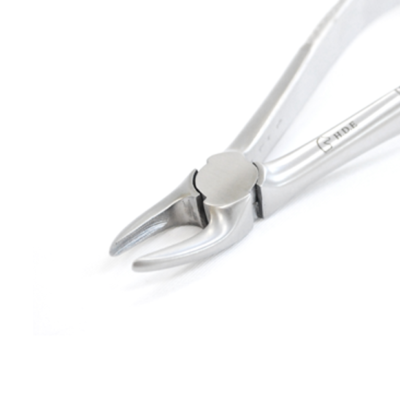 Curved Forceps Close-Up