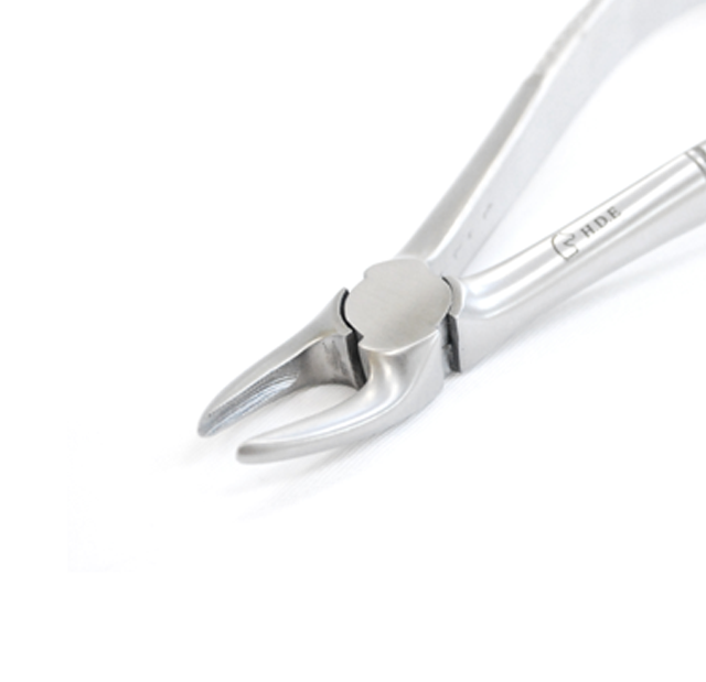 Curved Forceps Close-Up