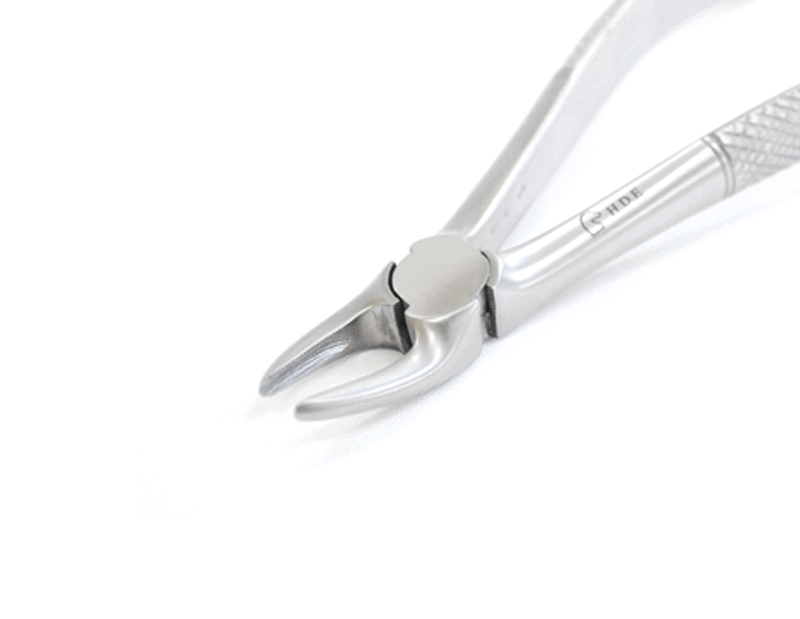 Curved Forceps Close-Up