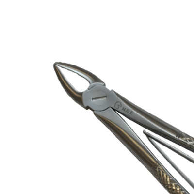 Straight Forceps Closed Close-Up