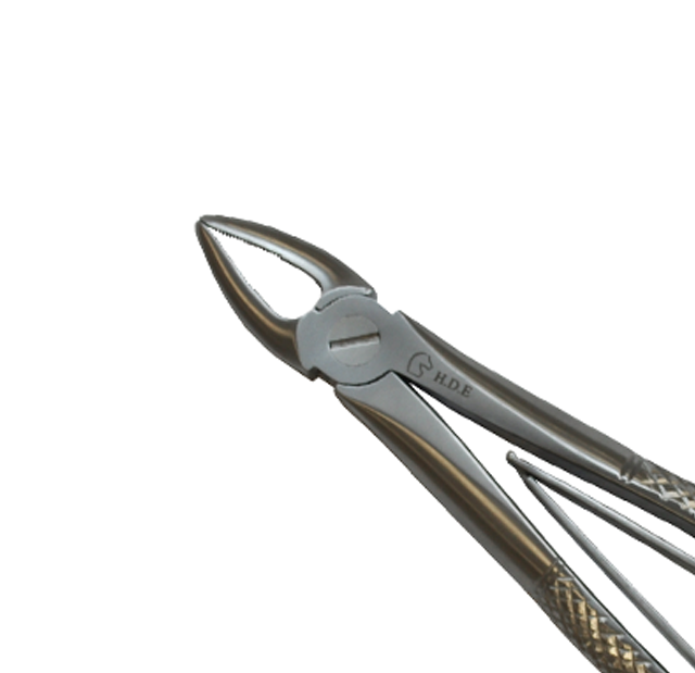 Straight Forceps Closed Close-Up