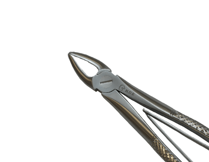 Straight Forceps Closed Close-Up
