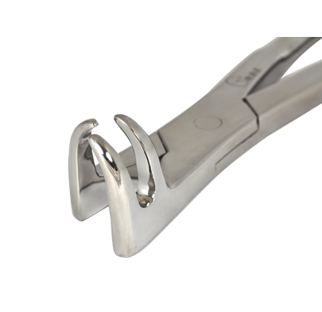 3 Roots Molar Forceps (Onside) Close-Up