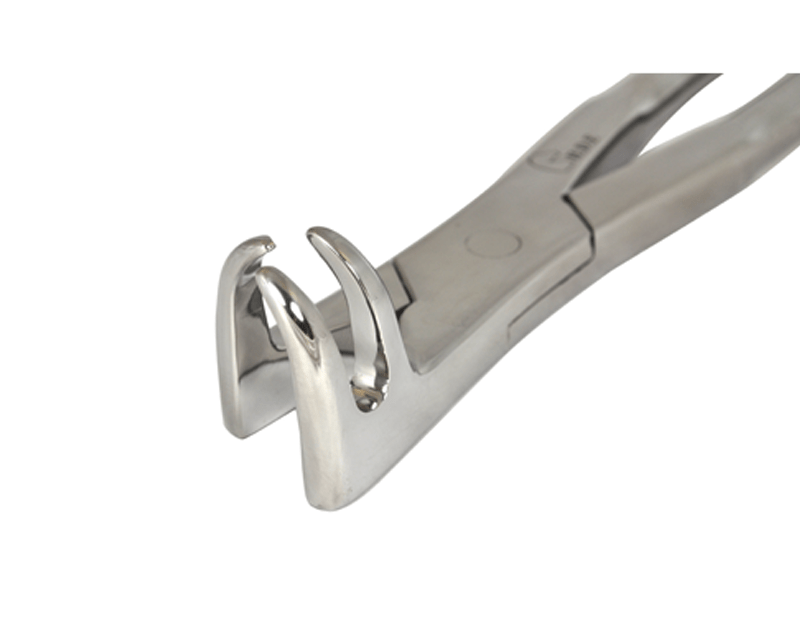 3 Roots Molar Forceps (Onside) Close-Up