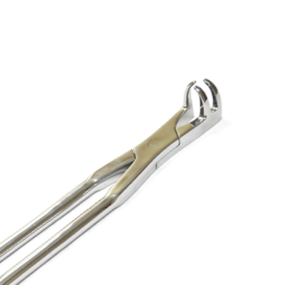 3 Roots Molar Forceps (Offside) Close-Up