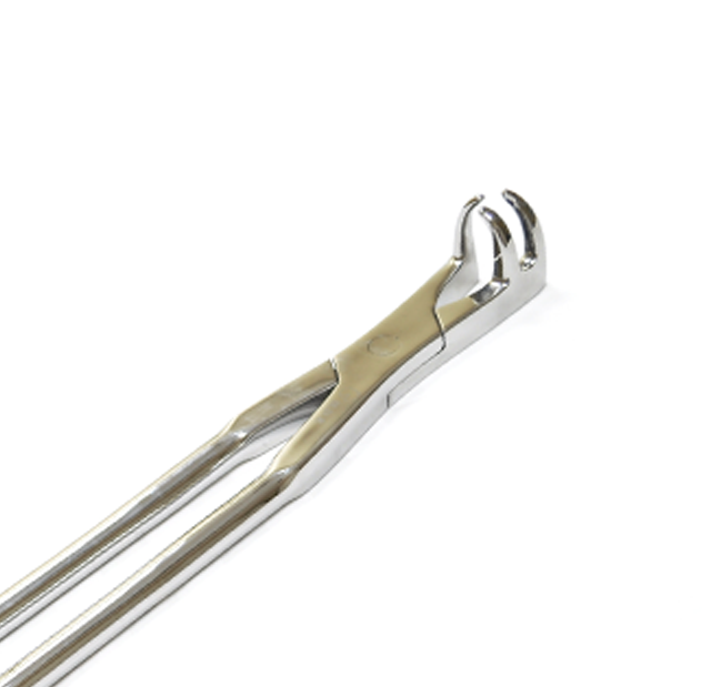 3 Roots Molar Forceps (Offside) Close-Up