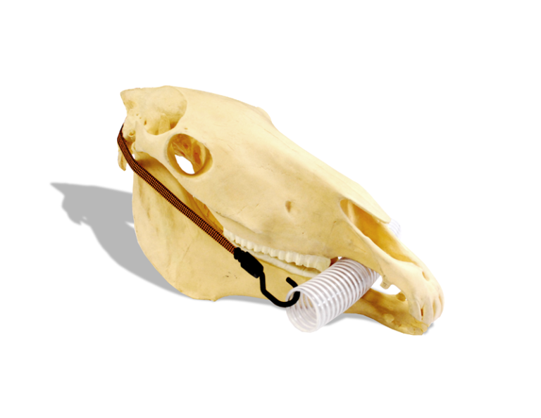 Incisor Speculum Horse Dental Equipment