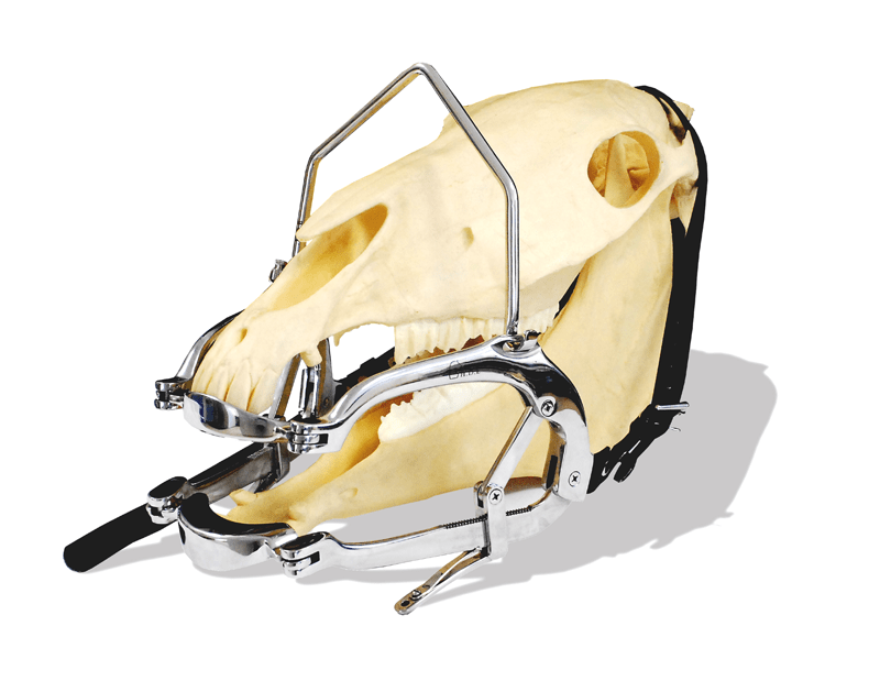 Optimum Speculum Horse Dental Equipment