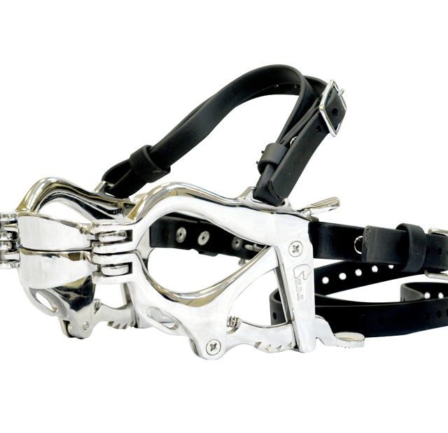 Pony Speculum 2