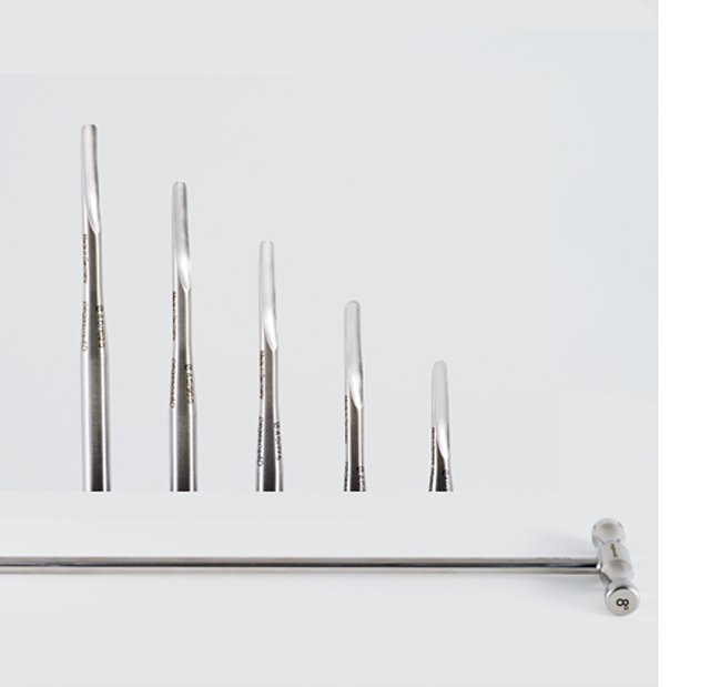 Dental Pick Set - Basic T - Handle - 8°, Wide Luxators - Set,... Close-Up