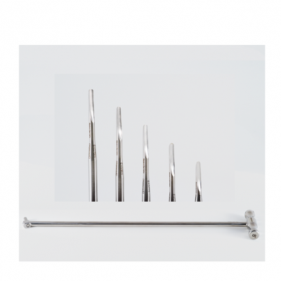 Set de pic dentaire - basique - poignée T, set de luxateurs Ø 5 mm et tournevis Torx (non autoclavable)