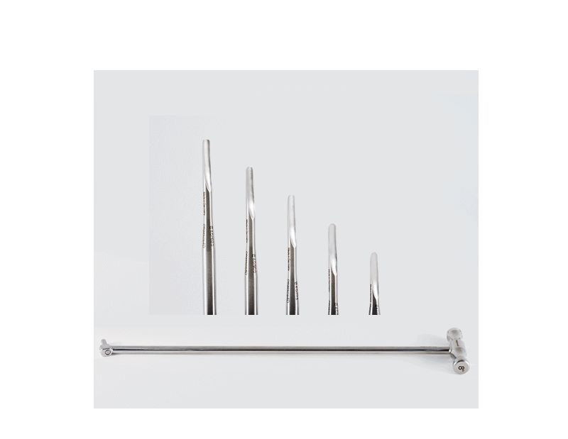 Dental Pick Set – Basic T-Handle – 8°, Wide Luxators-Set, 5 mm, Screwdriver