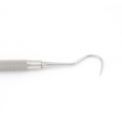 Dental Hook - Small Model Close-Up