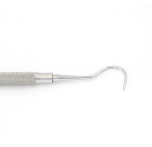 Dental Hook - Small Model Close-Up