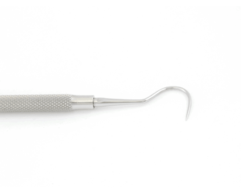 Dental Hook - Small Model Close-Up