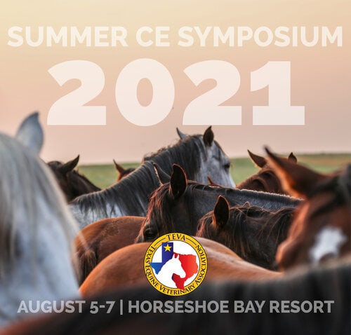 CE Symposium Été 2021