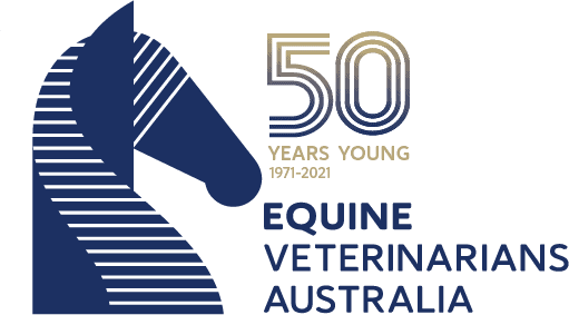 Bain Fallon 50 years young logo