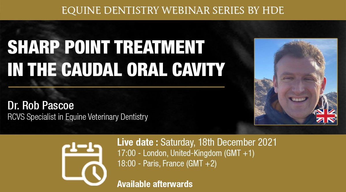 Webinar Rob Pascoe Europe