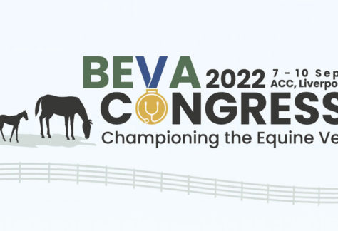 BEVA Congress 2022