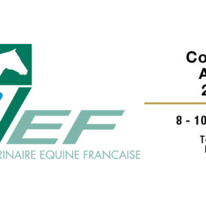 Congrès AVEF 2023