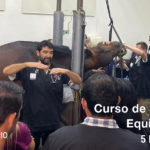 Curso de Odontología Equina Moderna, Guadalajara