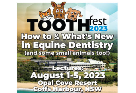 Tooth Fest 2023