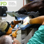 VetPD Course - Beyond Basics: Modern Diagnostic & Therapeutic Techniques in Equine Dentistry