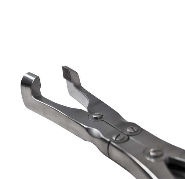 Articulated Capps Forceps - Close-Up