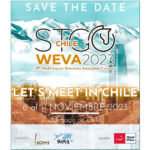 World Equine Veterinary Association Congress 2023
