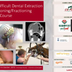 Equine Difficult Dental Extraction and Sectioning/Fractioning Practical Course - Zaragoza, Spain