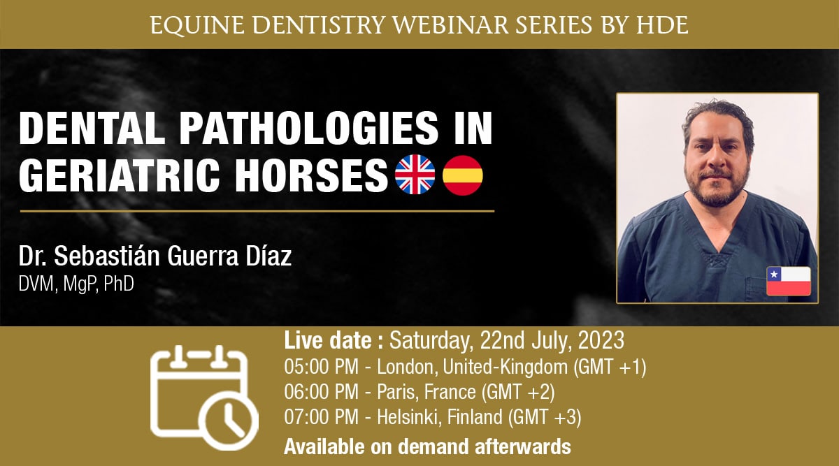 [HDE Webinar] Dental Pathologies in Geriatric Horses - Dr Sebastián Guerra Díaz