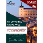 XIII Congreso Anual AVEE