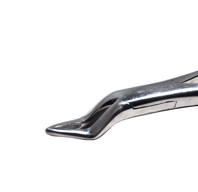 Offset Wolf Tooth Forceps - Close-Up