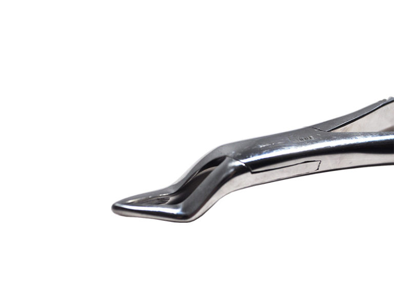 Tooth Extractor Wolf Tooth Horse 27 Cm - Foto 8