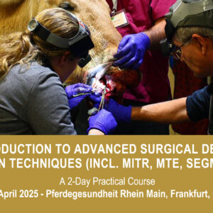 VetPD Course - Introduction to Advanced Surgical Dental Extraction Techniques (incl. MITR, MTE & Segmentation)