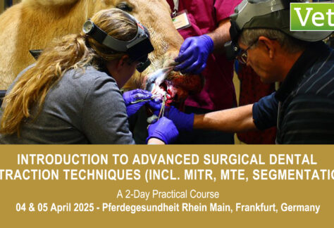 VetPD Course - Introduction to Advanced Surgical Dental Extraction Techniques (incl. MITR, MTE & Segmentation)