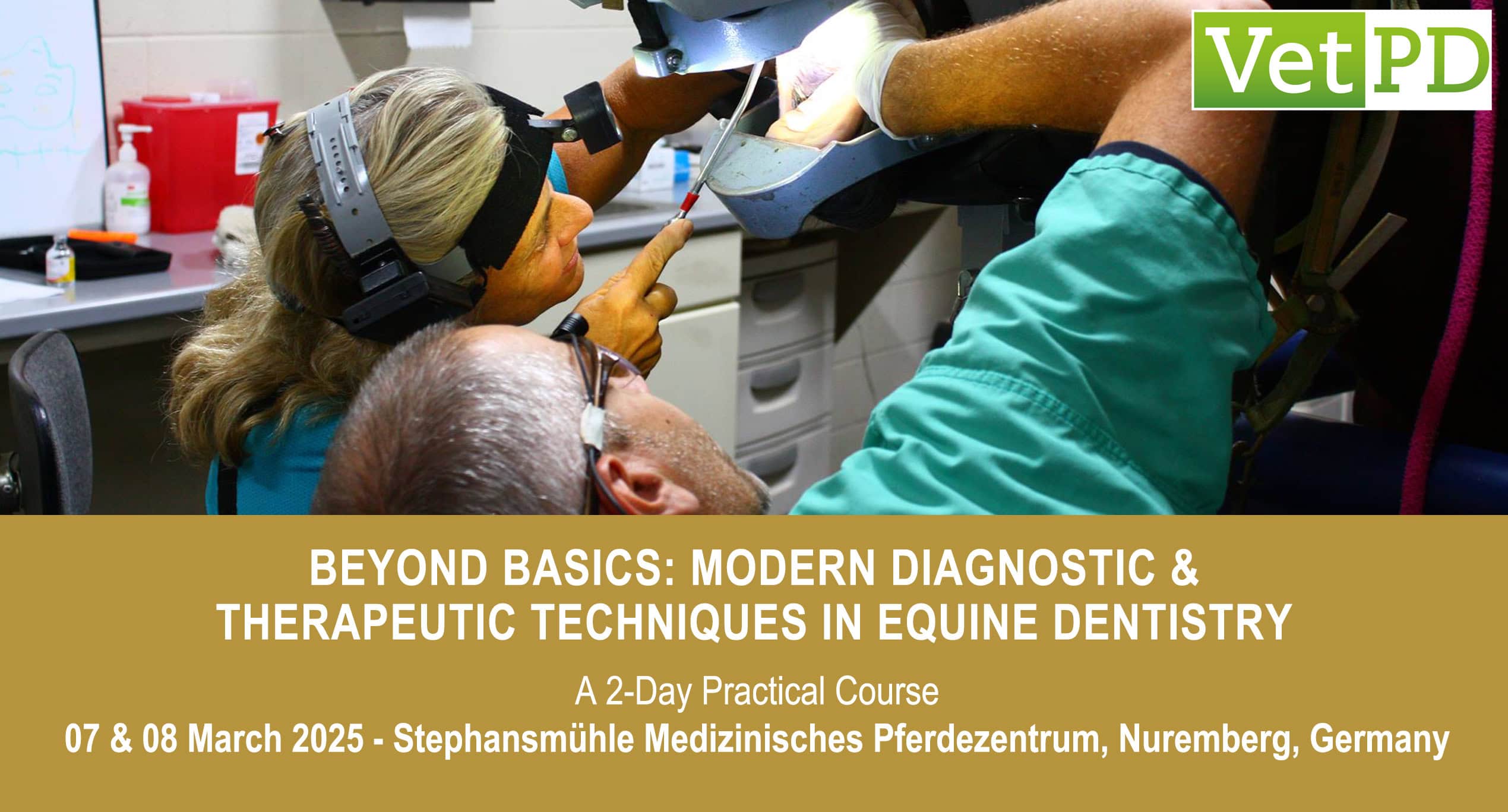 VetPD Course - Beyond Basics: Modern Diagnostic & Therapeutic Techniques in Equine Dentistry
