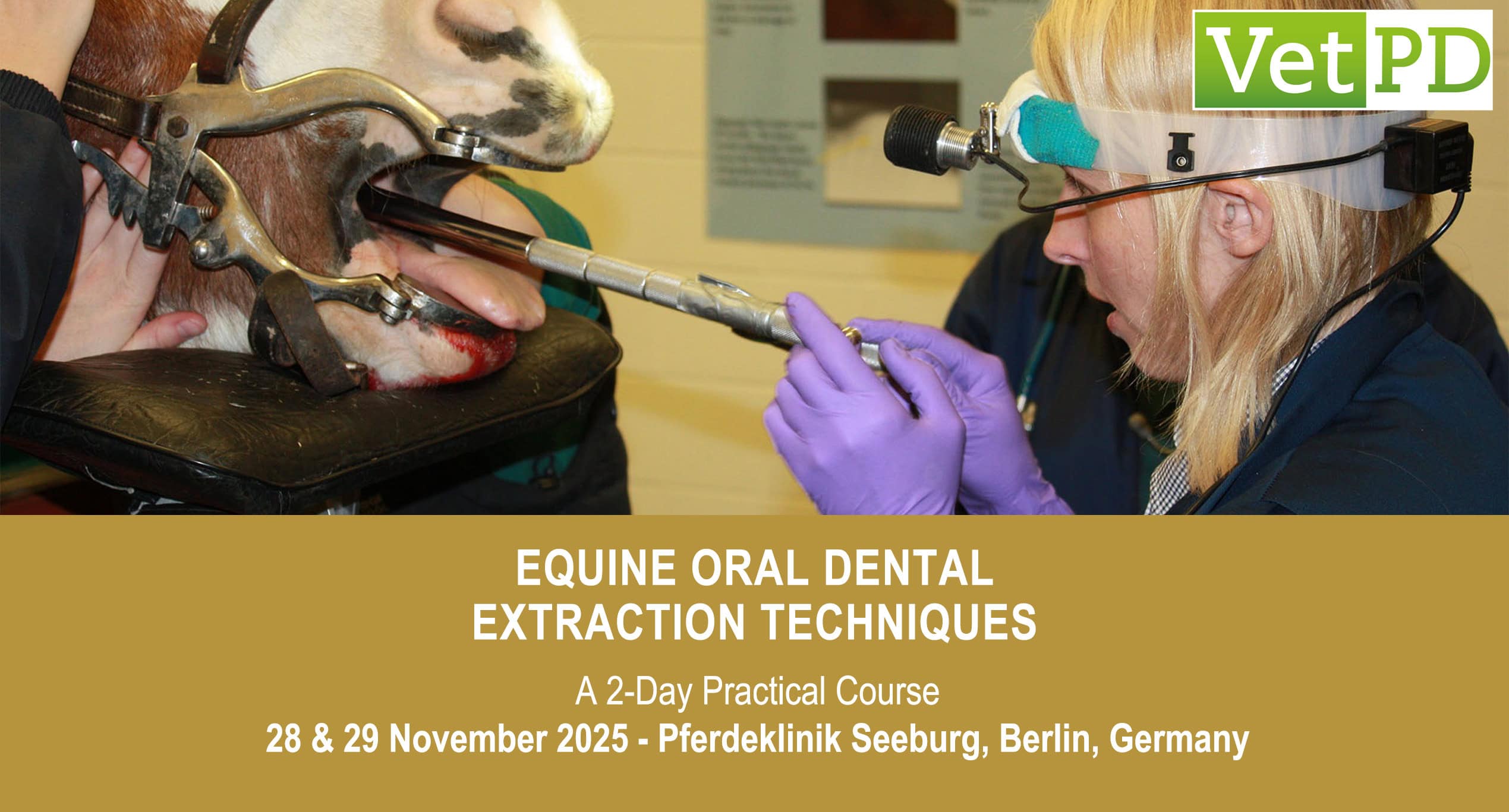 VetPD Course Novembre 2025 - Allemagne