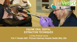 VetPD Course - Equine Oral Dental Extraction Techniques