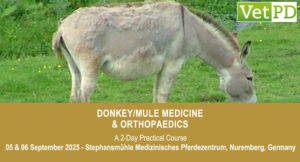 VetPD Course - Donkey/Mule Medicine & Orthopaedics