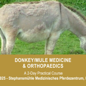 VetPD Course - Donkey/Mule Medicine & Orthopaedics