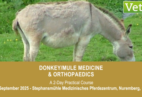 VetPD Course - Donkey/Mule Medicine & Orthopaedics