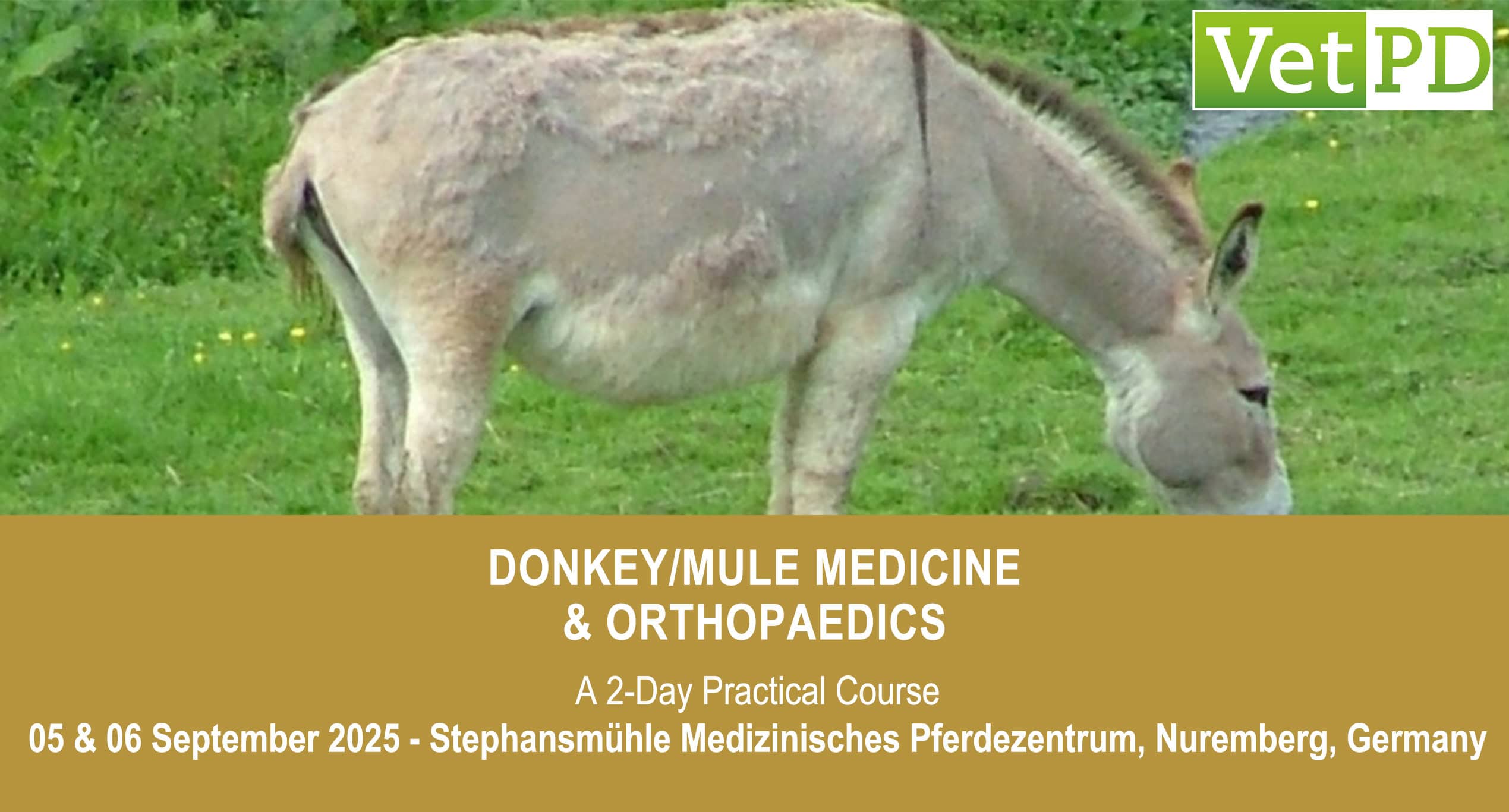 VetPD Course - Donkey/Mule Medicine & Orthopaedics