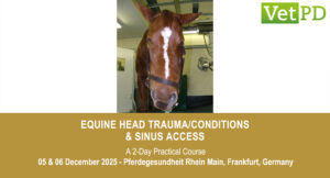 VetPD Course - Equine Head Trauma/Conditions & Sinus Access