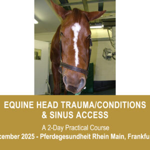 VetPD Course - Equine Head Trauma/Conditions & Sinus Access