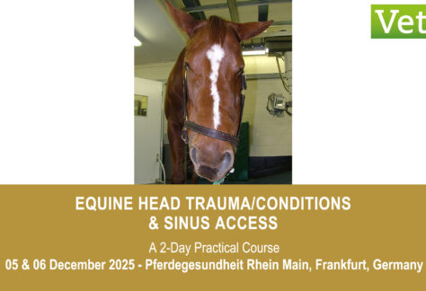 VetPD Course - Equine Head Trauma/Conditions & Sinus Access