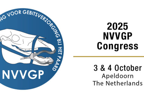 2025 NVVGP Conference