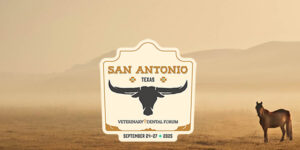 2025 Veterinary Dental Forum