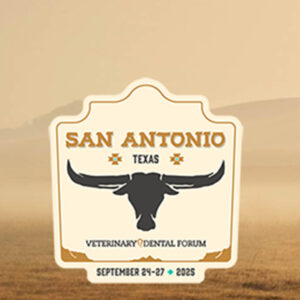 2025 Veterinary Dental Forum