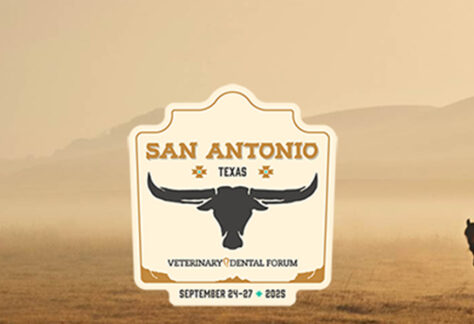 2025 Veterinary Dental Forum